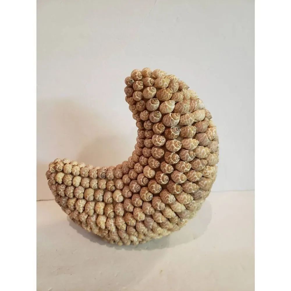 VTG Crescent Moon of Shells - Picture 2 of 9